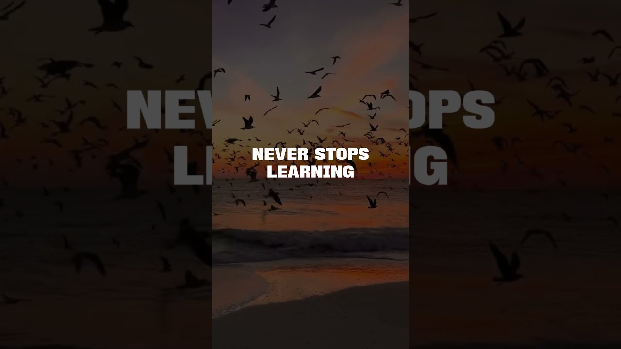 Succesful People | Words That Sell | Motivational Quotes | Sales Education