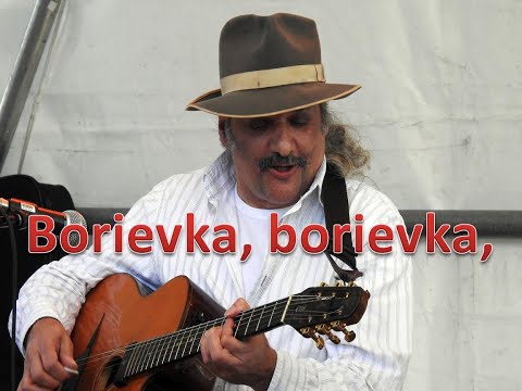 Borievka, borievka, Nádherná Slovenská Ľudová pieseň. Hrá Akordeón . Popis a text, nižšie.