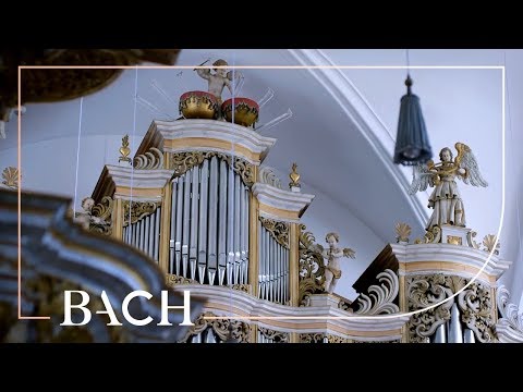 Bach - Fantasia and fugue in C minor BWV 537 - Wiersinga | Netherlands Bach Society