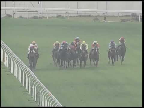 2019-02-23 Race 5(0167) - THE ADMIRALTY