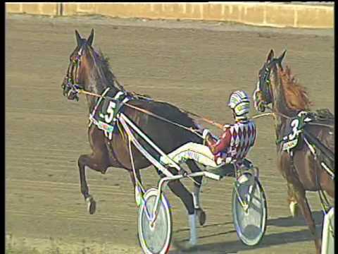 Trotto 31/03/2017 - 6ª corsa