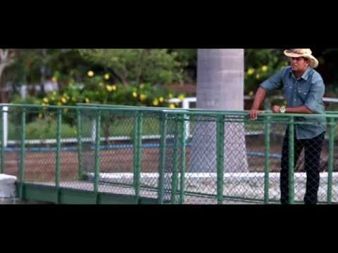 Geninho Batalha "Clip Cão sem Dono "