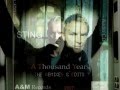 Sting - A Thousand Years ( Nitin Sawhney Mix ...