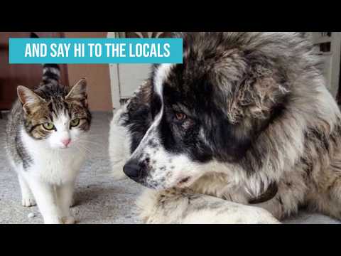 Casa Maria Romania Lunca Vişagului