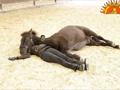 Showisi mal anders im Einsatz: RUD (Realistische Unfalldarstellung)