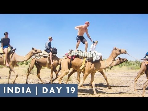 CAMEL SURFING | DAY 19 INDIA ADVENTURE