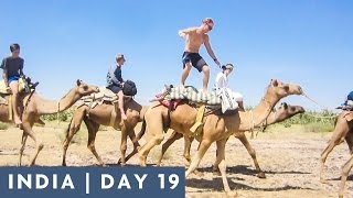 CAMEL SURFING | DAY 19 INDIA ADVENTURE