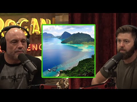 Exploring Borneo's Devastated Jungle with Forrest