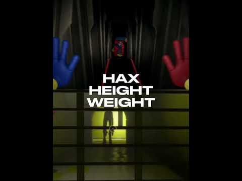 Huggy Wuggy Vs ALL Poppy Playtime characters