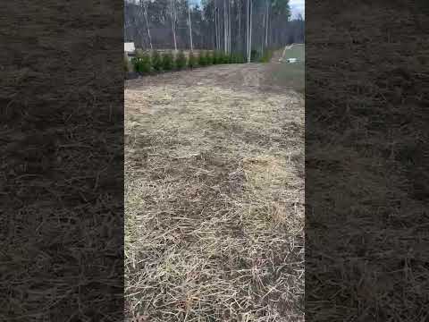 Salazar A Landscaper project video