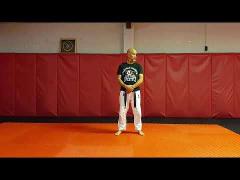 AIKIDO - Pinning Techniques