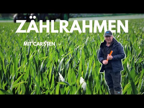 Von Experten für Profis –  Zählrahmen für die Erfolgsmessung