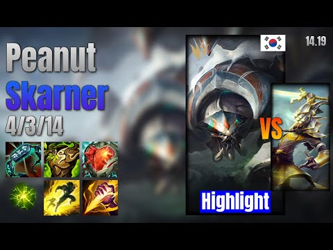 Peanut Jungle Skarner vs Master Yi lol KR solo rank Highlight 14.19