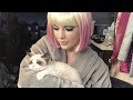 Cats Taylor Bc Taylor Loves Cats And I Love Taylor