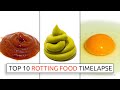 Top 10 Rotting Food Timelapses
