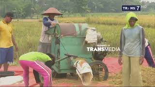 Download lagu Cadangan Pangan Jelang Hari Raya Idul Fitri mp3 Download lagu Cadangan Pangan Jelang Hari Raya Idul Fitri mp3