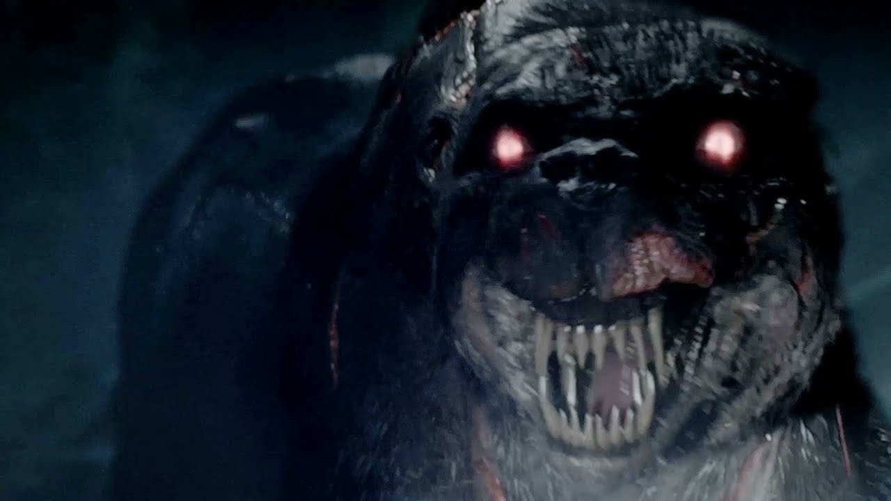 O HOMEM QUE VIRAVA BICHO E ATERRORIZAVA O POVOADO DO CEARÁ ( O LOBISOMEM DO INTERIOR DE SERGIPE )