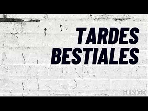 canción de TARDES BESTIALES - ROCK & POP