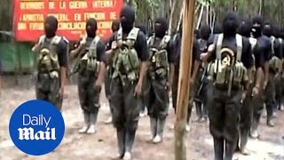 Shining Path &#39;troop-making&#39; camp in Peruvian jungle - Daily Mail