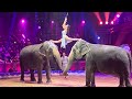 Gli Elefanti Di Elvis Errani Presentati Al 46º Festival Du Cirque De Monte Carlo Golden Clown 2024