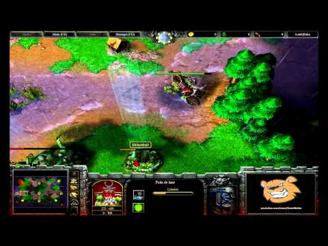 [HD.WC3#047] EH.ReMinD vs TyLoo_000 - NvH - Finale Zotac 239 Game 5 - Warcraft 3 Replay [FR]