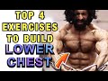 Best Four Exercises For Lower Chest - Jitender Rajput
