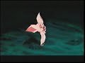 Opening To Casper A Spirited Beginning 1997 VHS