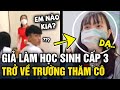 Cô Gái ĐÓNG GIẢ Nữ Sinh Cấp 3 Về Trường Cũ THĂM CÔ 20 11 Và Cái Kết RƯNG RƯN