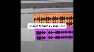 Shawn Mendes x Dua Lipa - Theres Nothing Holdin Me