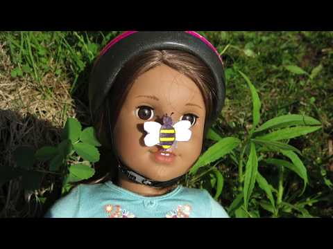 The Bee Incident 😱🐝AmericanGirl Doll Stopmotion