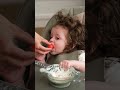 миниатюра 0 Видео о товаре Стульчик для кормления Happy Baby Berny Lux, Milky (Белый)