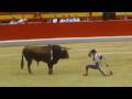 Matador - A Documentary about Bullfighting - Trailer