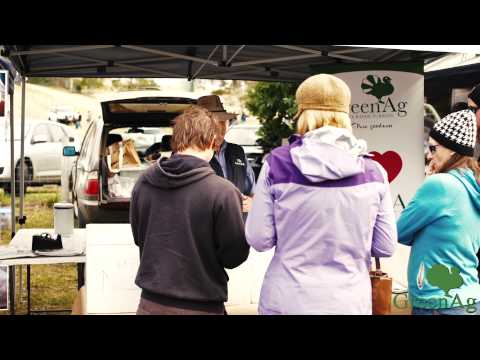 download lagu mp3 mp4 Organic Turkey Hearts, download lagu Organic Turkey Hearts gratis, unduh video klip Organic Turkey Hearts