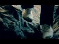 Silver Swans // "Always Something" // Official Music Video