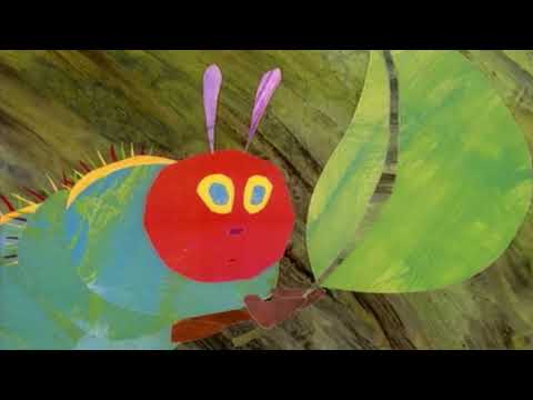 WP Hungry Caterpillar