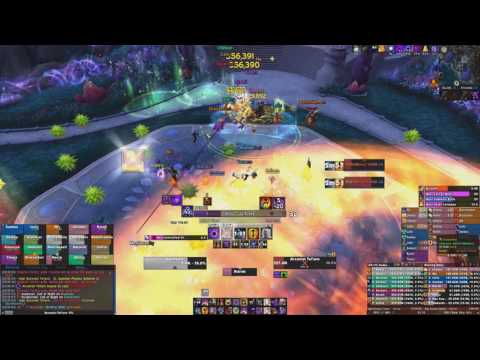 officially retired vs. High Botanist Tel'arn Mythic