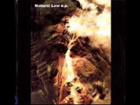 Organ Language - Detuned Atmosphere