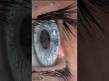 The Human Eye ️ Animation Medical Short Video 25s Eyes Shortvideo