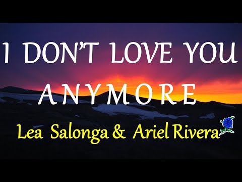I Don't Love You Anymore cover