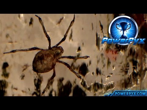 Resident Evil 7 Biohazard - Slash Slash, Slashity Slash! Trophy / Achievement Guide