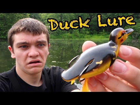 duck lure fishing challenge CREEYA 1piece 3D Topwater Yellow Duckling Floating Artificial Bait Plopping and Splashing Feet Hard Fishing Tackle Geer 12cm 28g : Sports & Outdoors so it always lands on the belly with the exposed treble hook on the back DUCK LURE CHALLENGE??? Does It