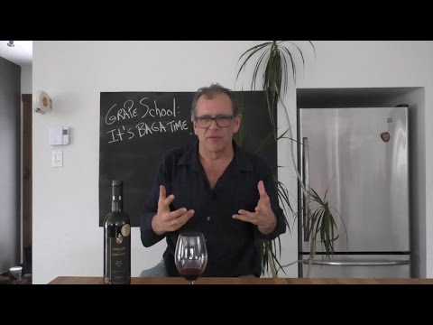 Wine grape school: Baga