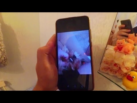 НЕВЬЯНСК ВЕЧЕРНИЙ! 11.12.20