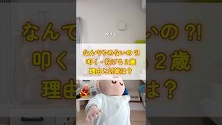 叩く、投げる2歳｜やめない理由と対策3選【保育士が解説】#2歳 #イヤイヤ期 #子育てのヒント #育児あるある #育児疲れた  #保育士解説 #子育てのヒント