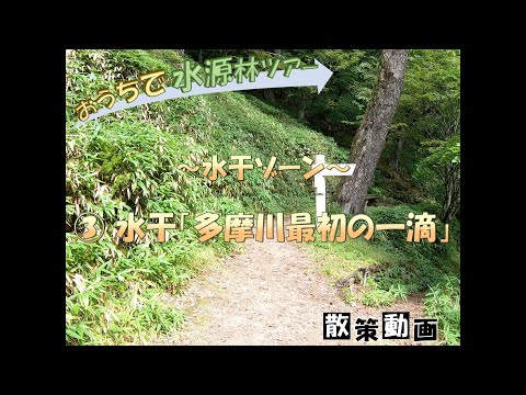 【おうちで水源林ツアー】 ～水干ゾーン～ ③水干「多摩川最初の一滴」