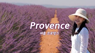 프랑스 남부 여행, 프로방스에는 라벤더 천국이💜