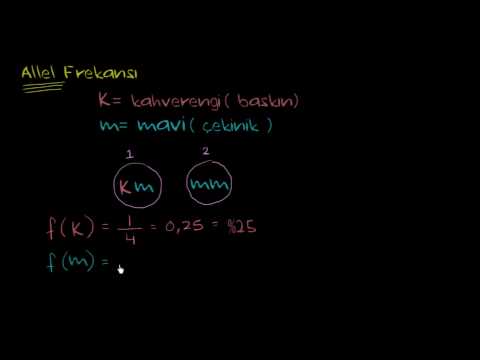 Alel (Gen) Frekansı (Biyoloji / Genetik)