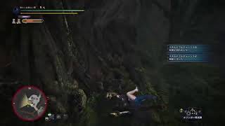 アイスボーン　全地帯7への道　やり方あってるかわからんけど