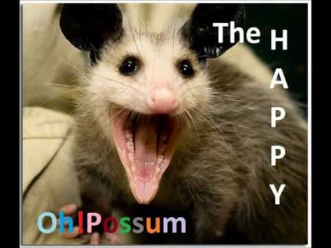 Oh!Possum - WAHHHGU