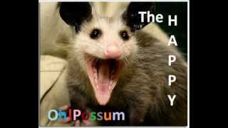Oh!Possum - WAHHHGU